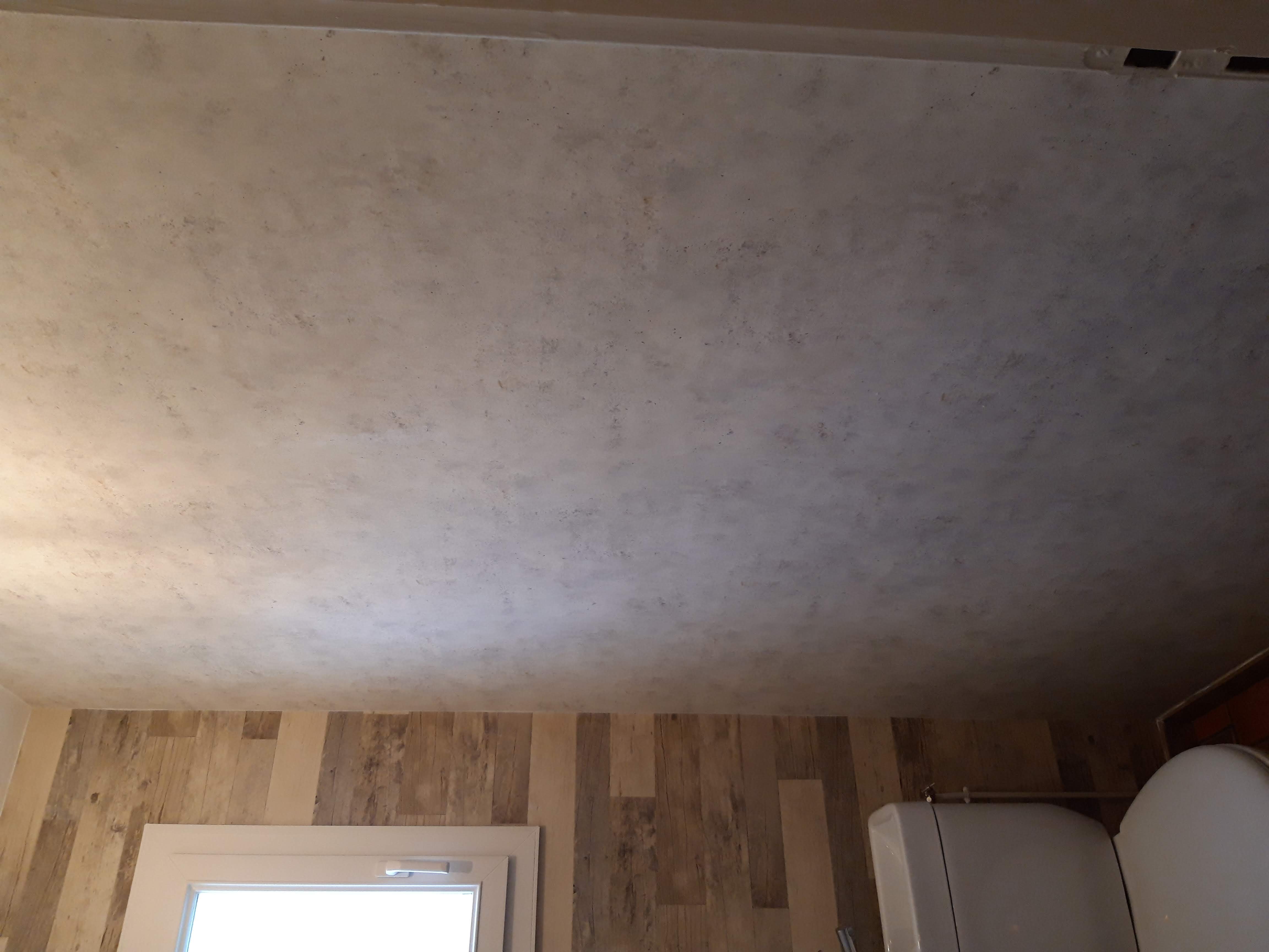 WC rénovés — plafond béton ciré gris clair