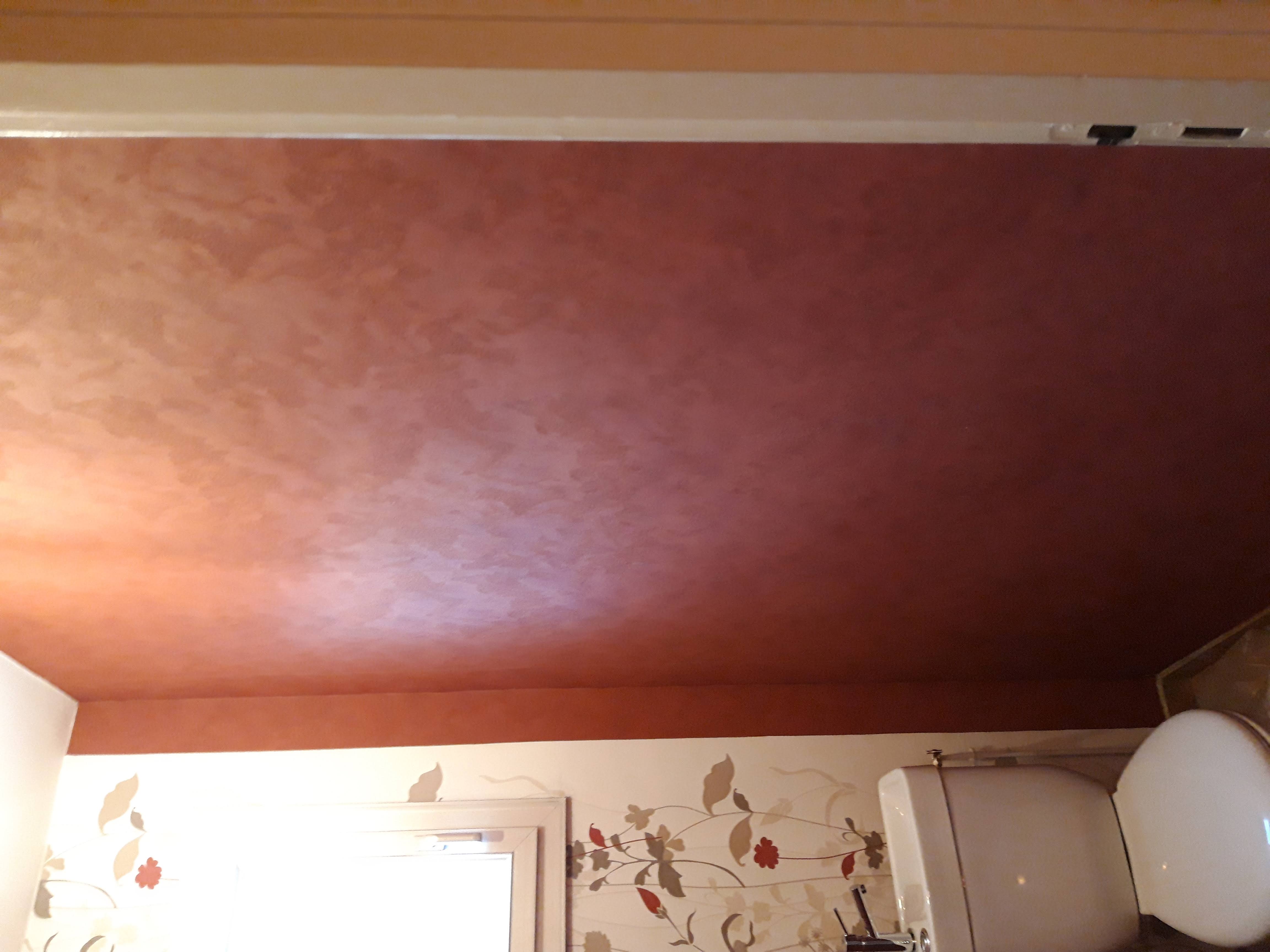 WC avant — plafond bordeaux